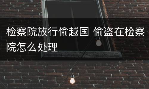 检察院放行偷越国 偷盗在检察院怎么处理