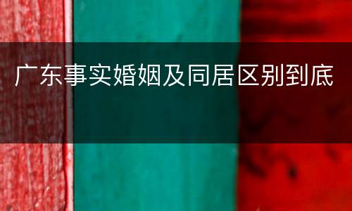 广东事实婚姻及同居区别到底