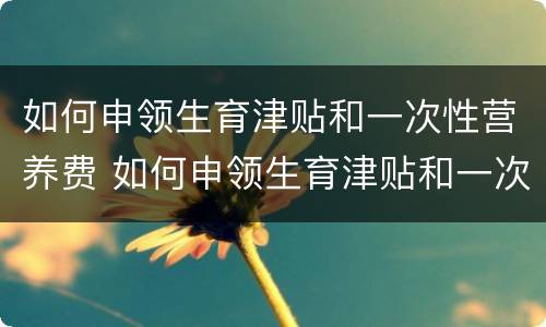 如何申领生育津贴和一次性营养费 如何申领生育津贴和一次性营养费补贴