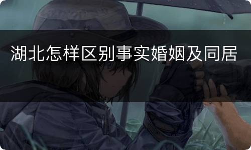 湖北怎样区别事实婚姻及同居