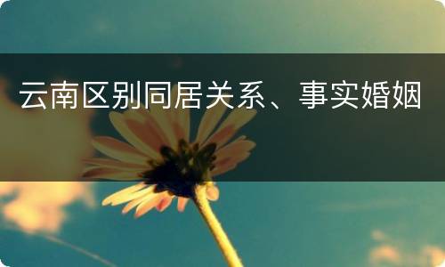 云南区别同居关系、事实婚姻