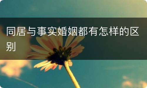 同居与事实婚姻都有怎样的区别