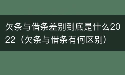 欠条与借条差别到底是什么2022（欠条与借条有何区别）