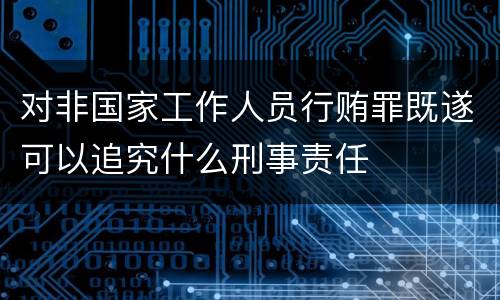 对非国家工作人员行贿罪既遂可以追究什么刑事责任