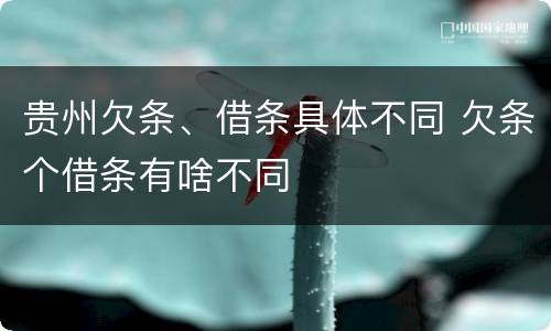 贵州欠条、借条具体不同 欠条个借条有啥不同
