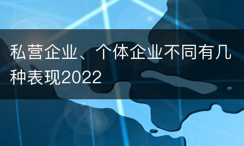私营企业、个体企业不同有几种表现2022