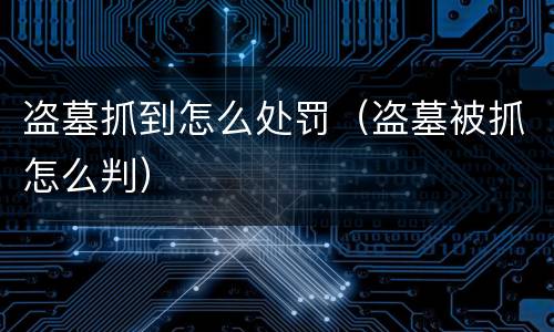 盗墓抓到怎么处罚（盗墓被抓怎么判）