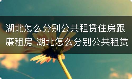 湖北怎么分别公共租赁住房跟廉租房 湖北怎么分别公共租赁住房跟廉租房的区别