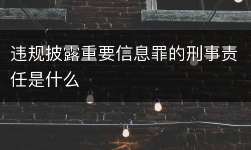 违规披露重要信息罪的刑事责任是什么