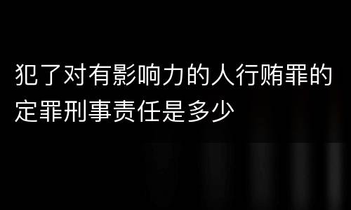 犯了对有影响力的人行贿罪的定罪刑事责任是多少