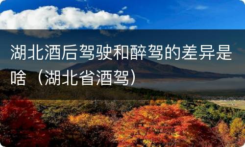 湖北酒后驾驶和醉驾的差异是啥（湖北省酒驾）