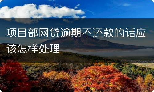 项目部网贷逾期不还款的话应该怎样处理