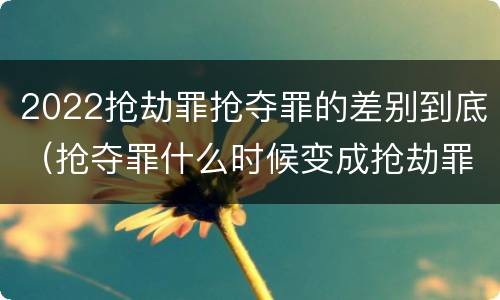 2022抢劫罪抢夺罪的差别到底（抢夺罪什么时候变成抢劫罪）