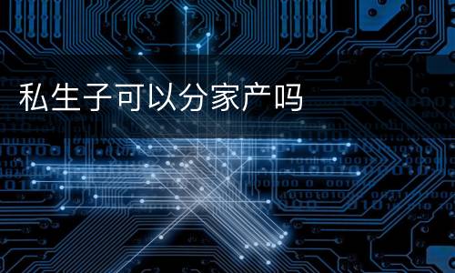 私生子可以分家产吗
