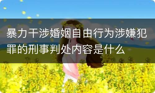 暴力干涉婚姻自由行为涉嫌犯罪的刑事判处内容是什么