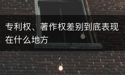 专利权、著作权差别到底表现在什么地方