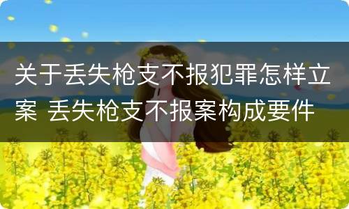 关于丢失枪支不报犯罪怎样立案 丢失枪支不报案构成要件
