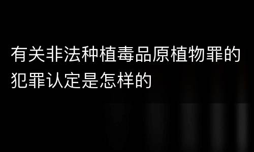 有关非法种植毒品原植物罪的犯罪认定是怎样的