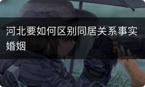 河北要如何区别同居关系事实婚姻