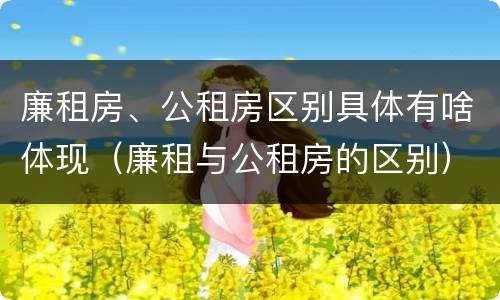 廉租房、公租房区别具体有啥体现（廉租与公租房的区别）
