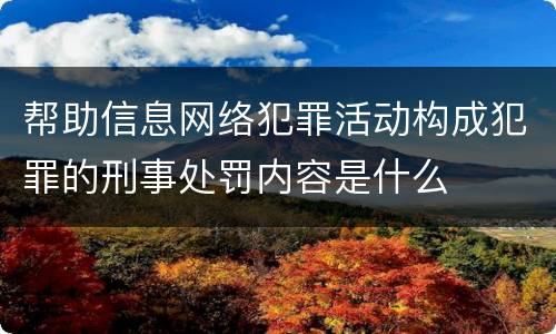 帮助信息网络犯罪活动构成犯罪的刑事处罚内容是什么
