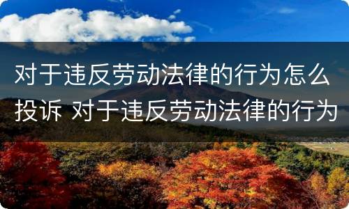对于违反劳动法律的行为怎么投诉 对于违反劳动法律的行为怎么投诉举报
