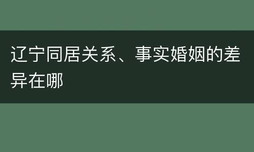 辽宁同居关系、事实婚姻的差异在哪