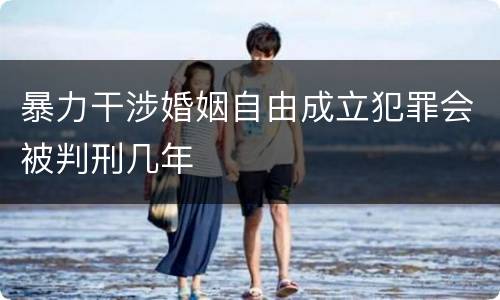 暴力干涉婚姻自由成立犯罪会被判刑几年