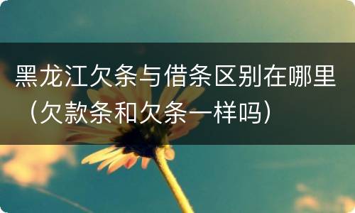 黑龙江欠条与借条区别在哪里（欠款条和欠条一样吗）