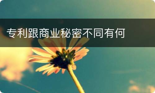 专利跟商业秘密不同有何