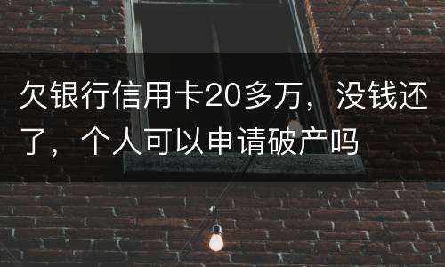 欠银行信用卡20多万，没钱还了，个人可以申请破产吗