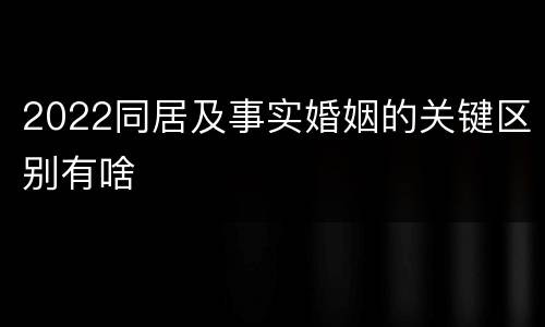 2022同居及事实婚姻的关键区别有啥