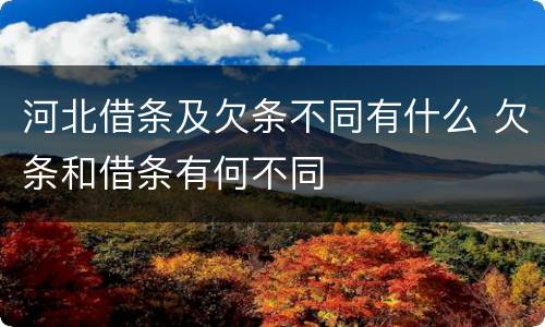 河北借条及欠条不同有什么 欠条和借条有何不同