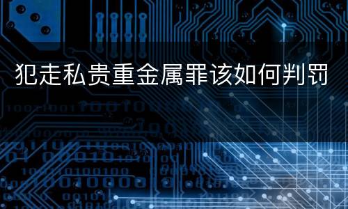 犯走私贵重金属罪该如何判罚