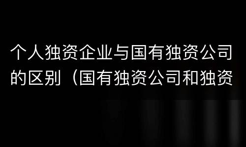 个人独资企业与国有独资公司的区别（国有独资公司和独资企业的区别）