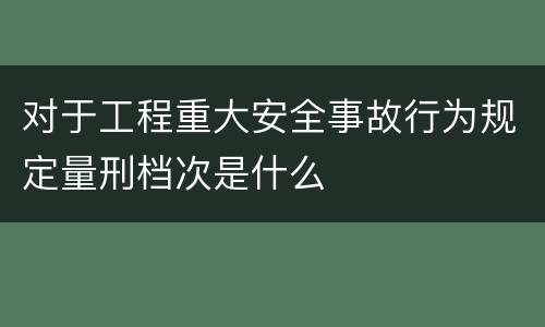 对于工程重大安全事故行为规定量刑档次是什么
