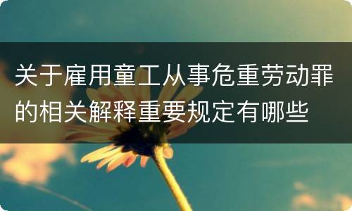 关于雇用童工从事危重劳动罪的相关解释重要规定有哪些