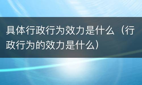 具体行政行为效力是什么（行政行为的效力是什么）