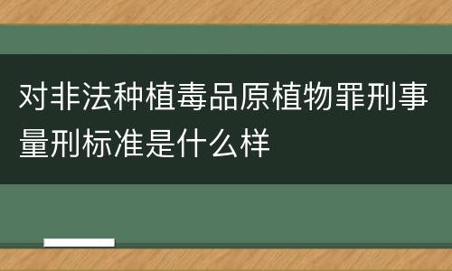 对非法种植毒品原植物罪刑事量刑标准是什么样