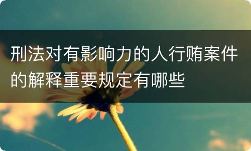刑法对有影响力的人行贿案件的解释重要规定有哪些