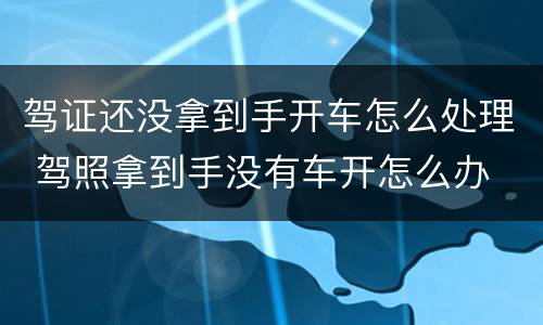 驾证还没拿到手开车怎么处理 驾照拿到手没有车开怎么办