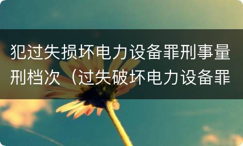 犯过失损坏电力设备罪刑事量刑档次（过失破坏电力设备罪案例）