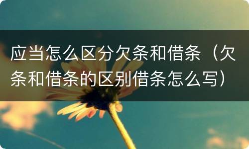 应当怎么区分欠条和借条（欠条和借条的区别借条怎么写）