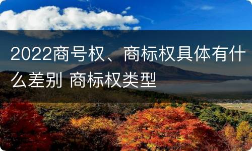 2022商号权、商标权具体有什么差别 商标权类型
