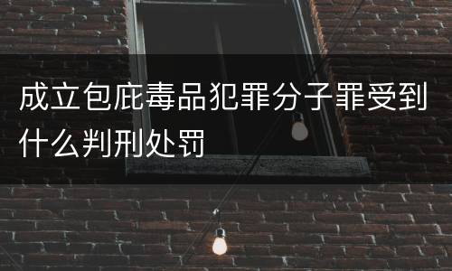 成立包庇毒品犯罪分子罪受到什么判刑处罚