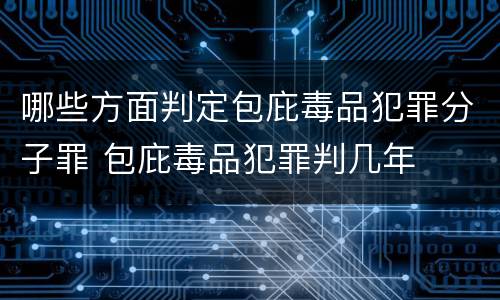 哪些方面判定包庇毒品犯罪分子罪 包庇毒品犯罪判几年