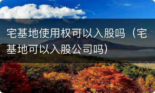 宅基地使用权可以入股吗（宅基地可以入股公司吗）