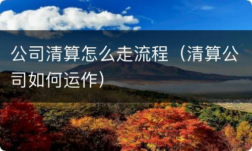 公司清算怎么走流程（清算公司如何运作）