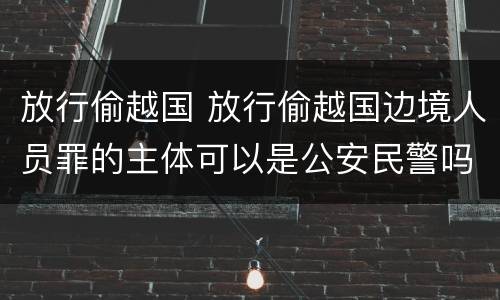 放行偷越国 放行偷越国边境人员罪的主体可以是公安民警吗