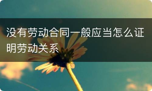 没有劳动合同一般应当怎么证明劳动关系